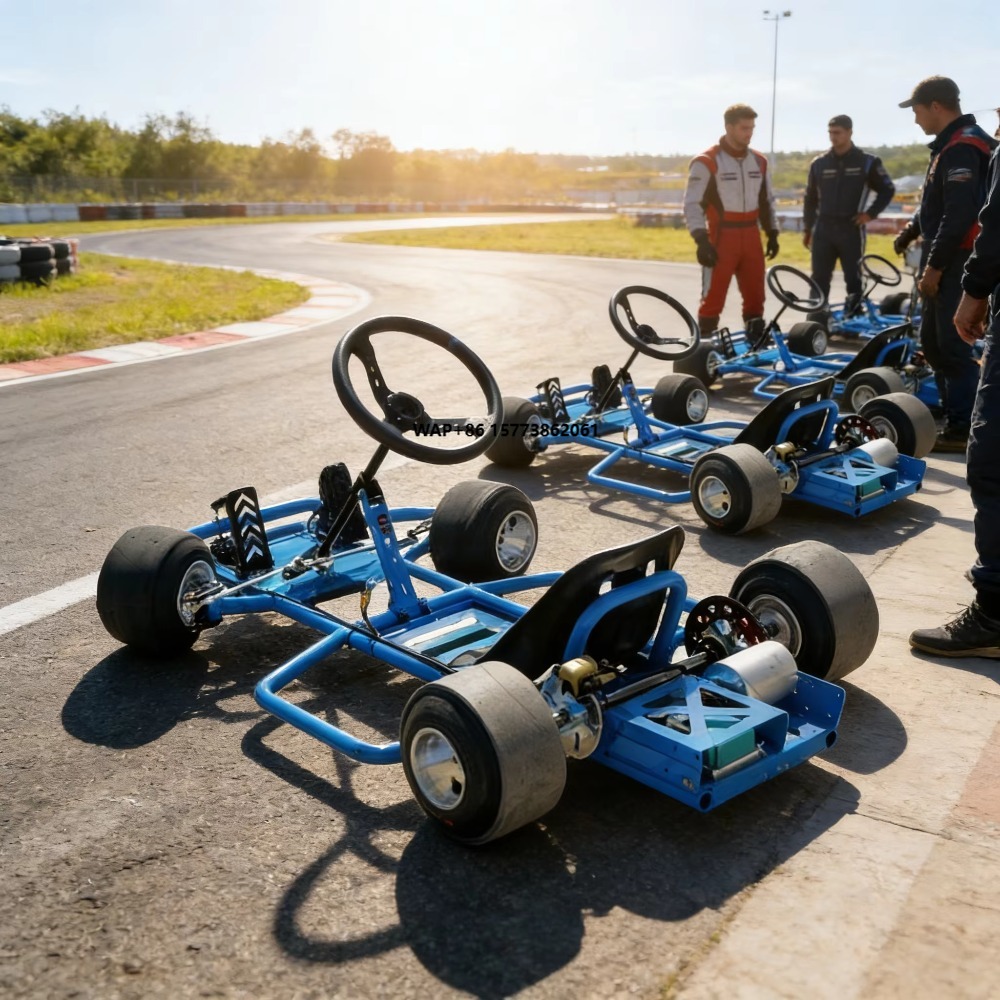 Kids Outdoor Karting - 전기 카트, 고속 전기 고카트, 72V