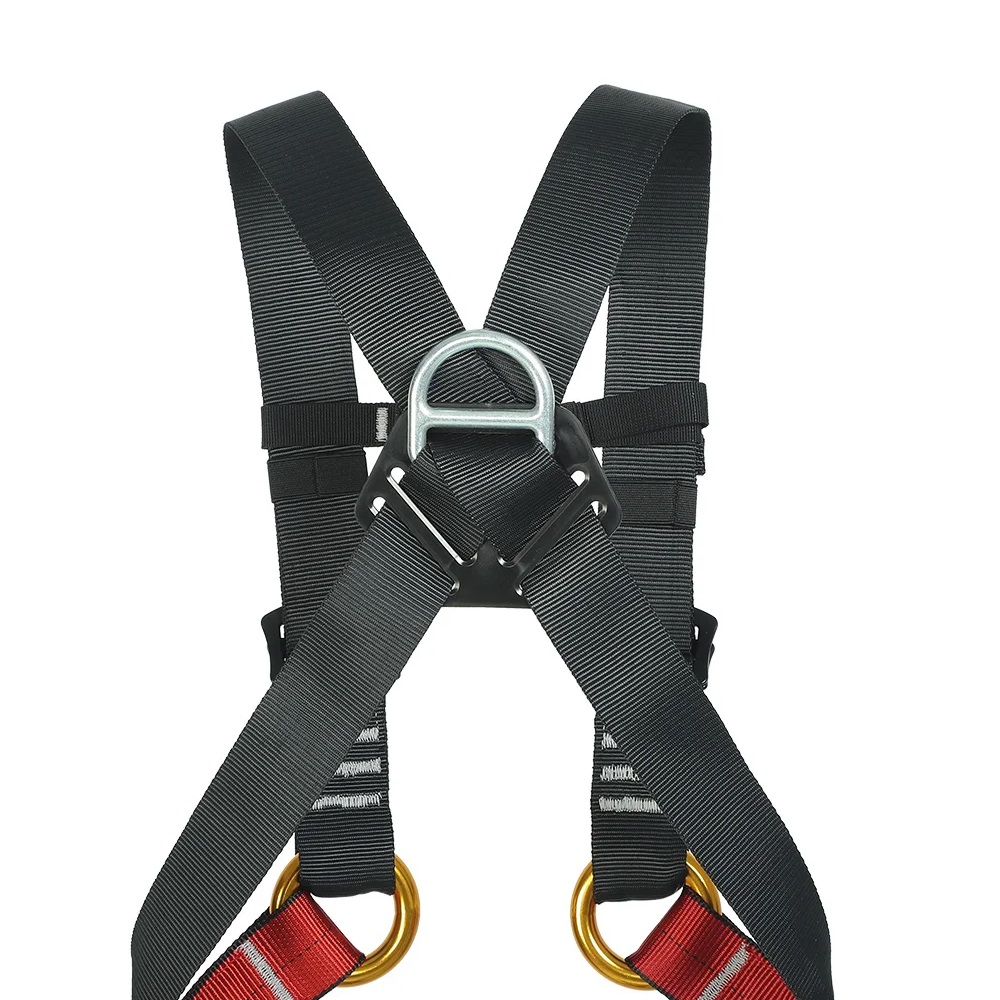 어린이 실내 확장 전신 하네스 야외 암벽 등반 야외 보 - Kids Outdoor Climbing Structure 리뷰 및 가격