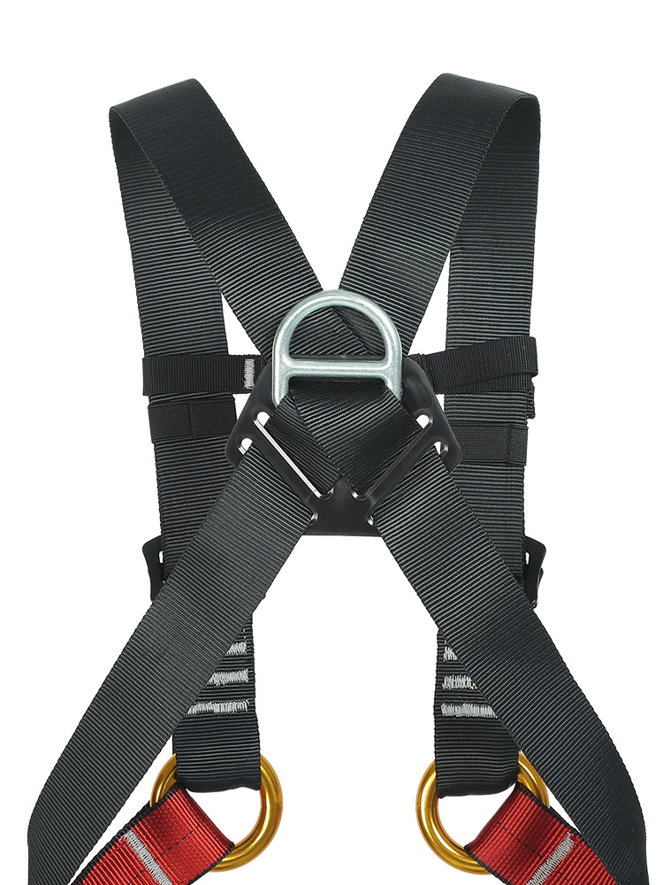 신다 어린이 전신 하네스 실내외 암벽 등반 확장 보호  - Kids Outdoor Climbing Structure 리뷰 및 가격