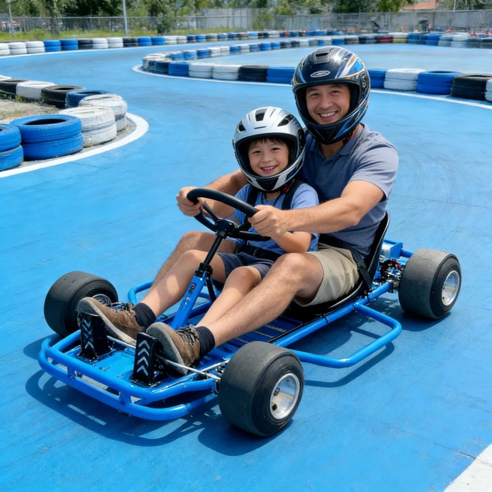 전기 카트, 고속 전기 고카트, 72V 3000W, 성 - Kids Outdoor Karting 리뷰 및 가격